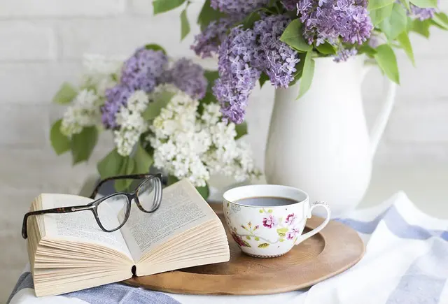 Top 5 des Cafetières à Capsules pour un Café Économique