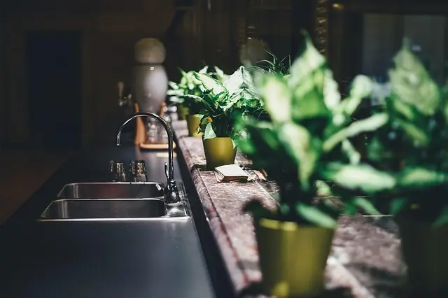 Comment Bien Choisir Votre Cafetière à Capsules : Guide Pratique
