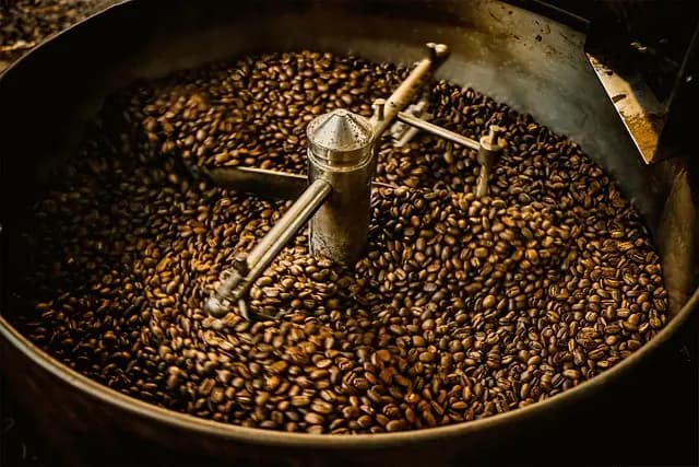 Cafetière à Capsules : Les Meilleurs Modèles à Considerer