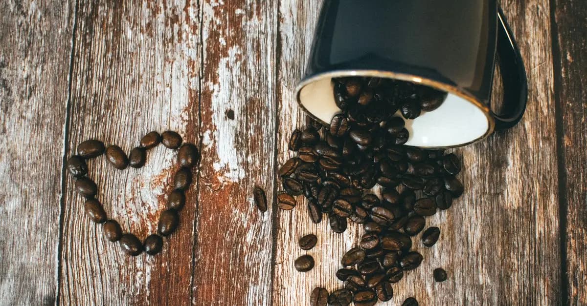 Les Capsules de Café à Essayer Absolument pour un Goût Optimal