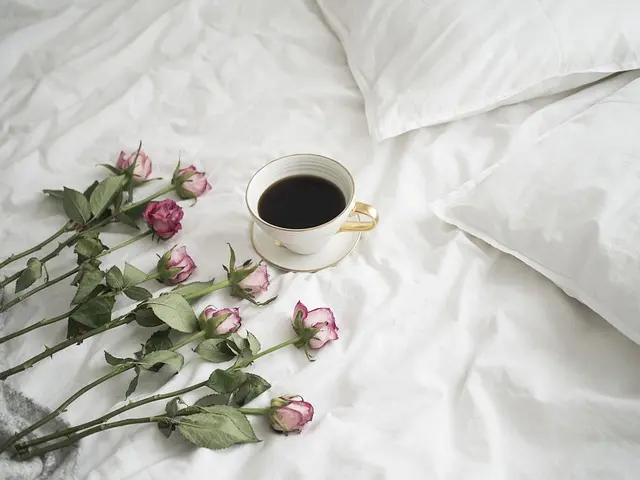 Les Capsules de Café : Comment Bien les Choisir pour Votre Cafetière
