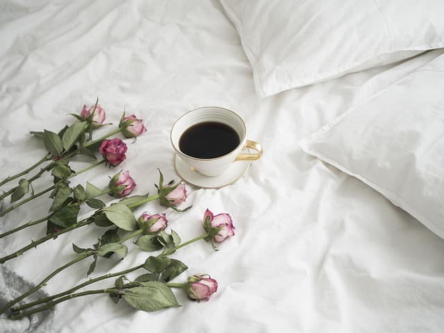 Les Capsules de Café : Guide Complet pour Bien Choisir